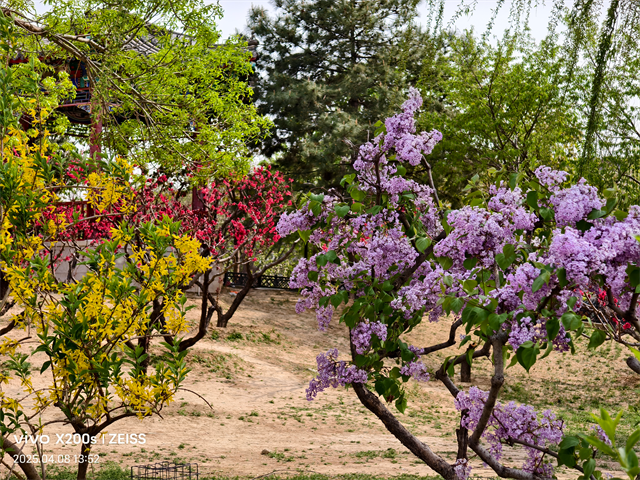 最强标准版新升级 vivo X200s 体验-18