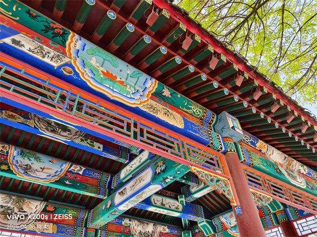 最强标准版新升级 vivo X200s 体验-15