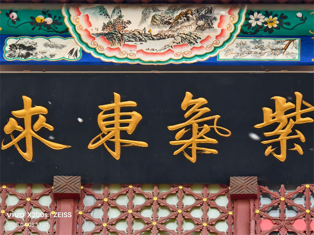 最强标准版新升级 vivo X200s 体验-12