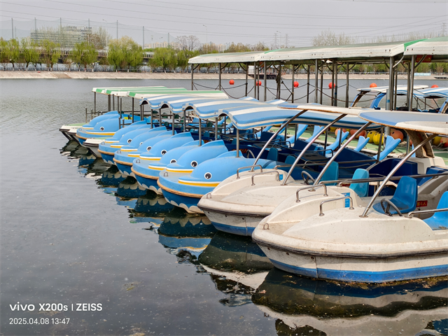 最强标准版新升级 vivo X200s 体验-17