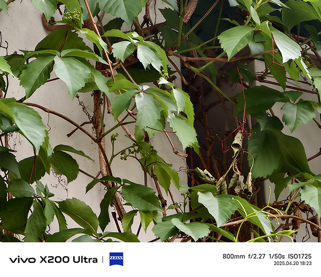 将相机的灵魂注入到手机之中 vivo X200 Ultra评测插图43 将相机的灵魂注入到手机之中 vivo X200 Ultra评测插图43